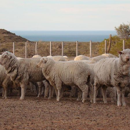 La Antonieta Estancia De Mar Dos Pozos Екстер'єр фото