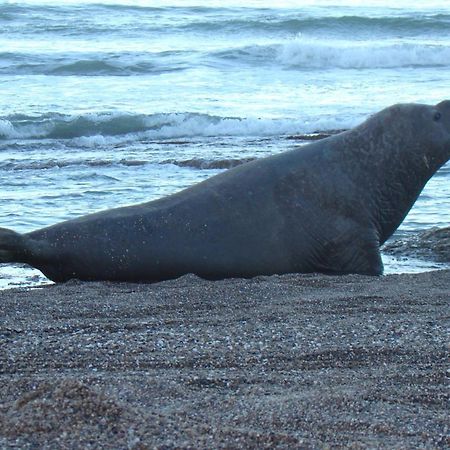La Antonieta Estancia De Mar Dos Pozos Екстер'єр фото