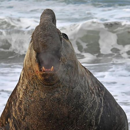La Antonieta Estancia De Mar Dos Pozos Екстер'єр фото