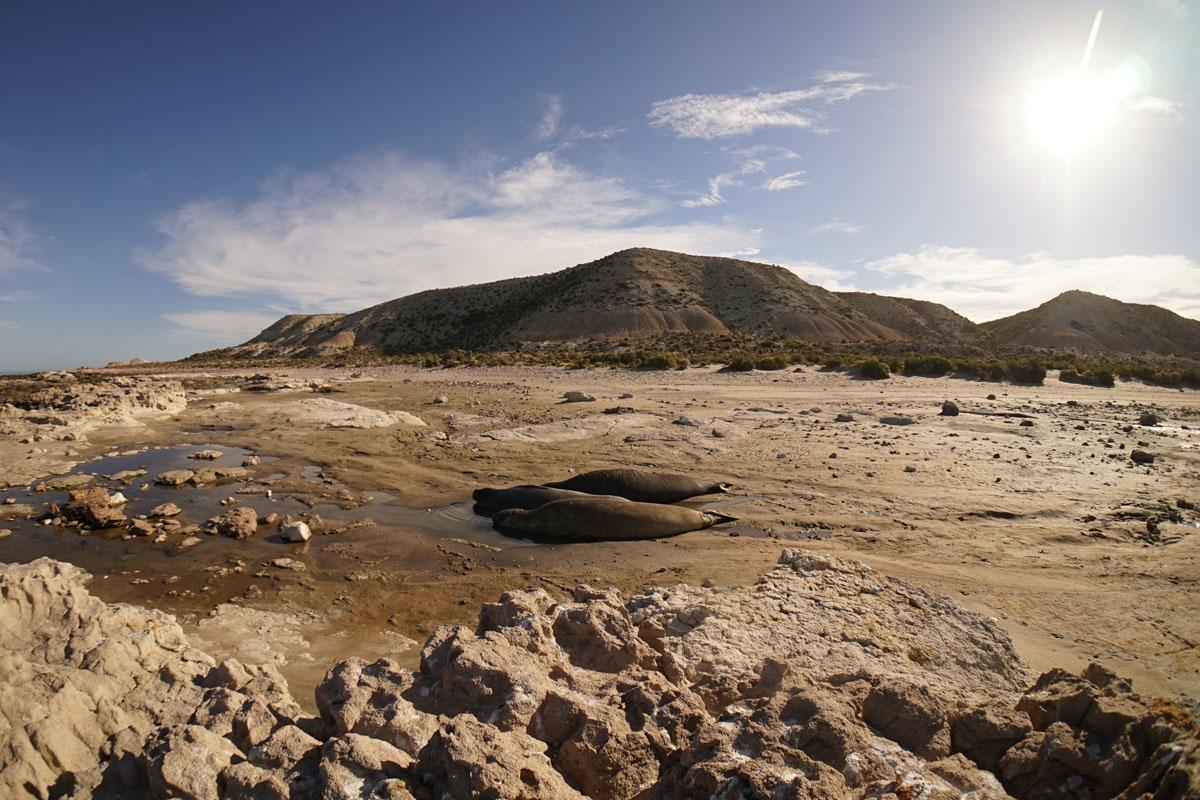 La Antonieta Estancia De Mar Dos Pozos Екстер'єр фото
