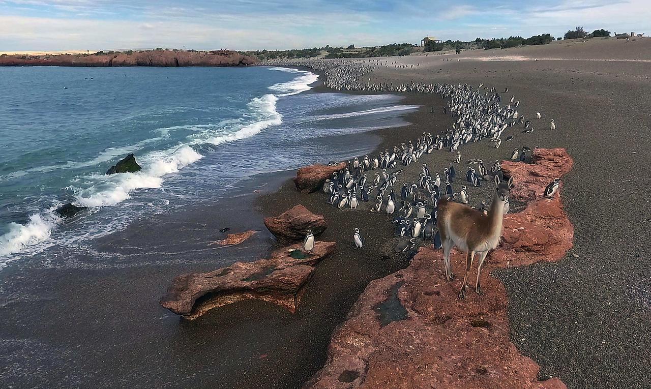 La Antonieta Estancia De Mar Dos Pozos Екстер'єр фото
