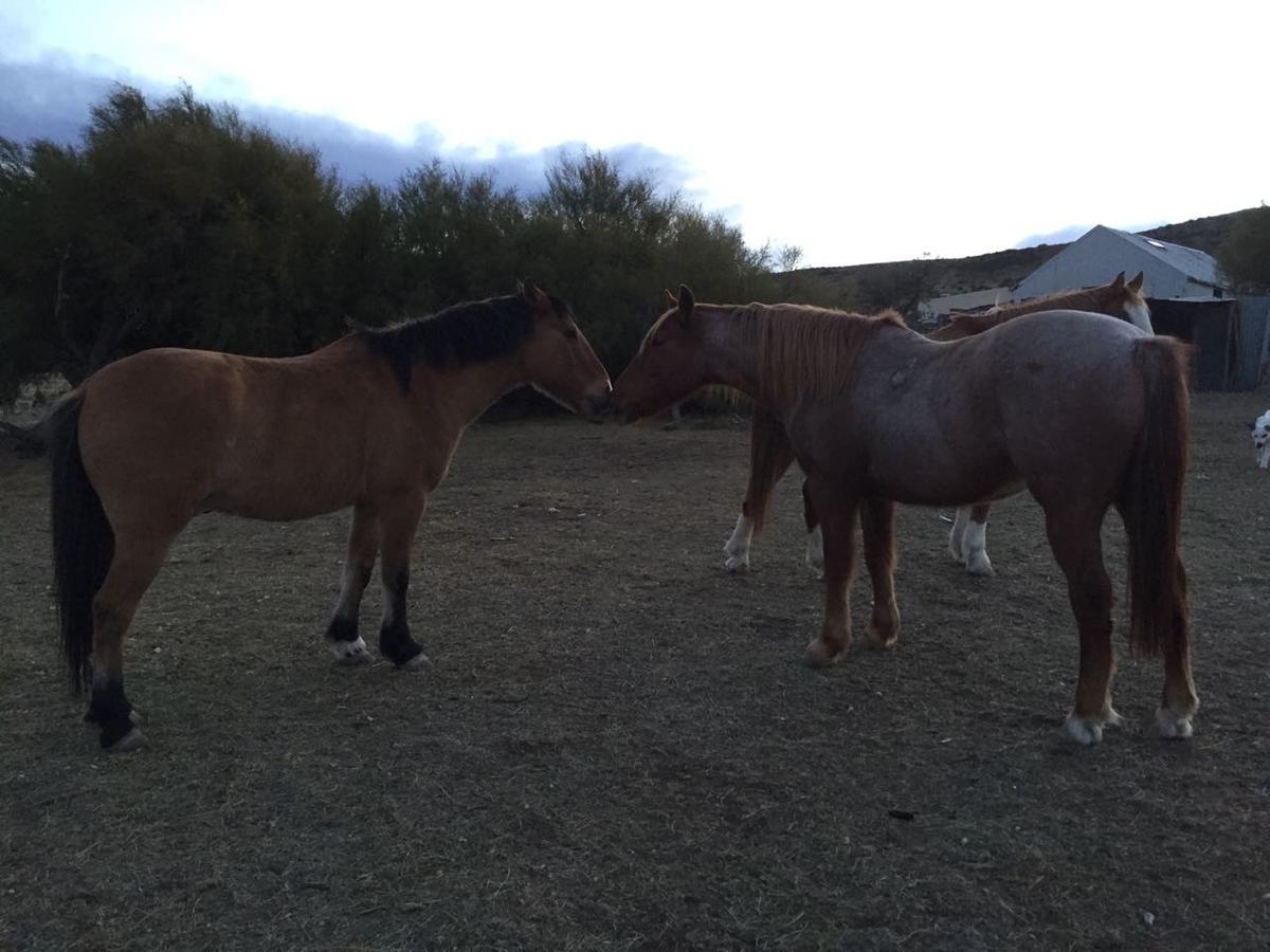 La Antonieta Estancia De Mar Dos Pozos Екстер'єр фото