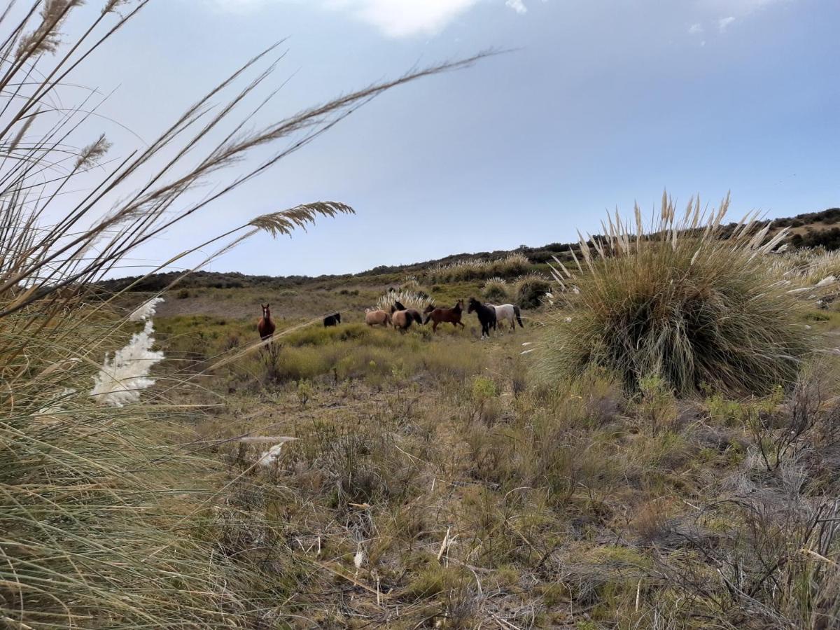 La Antonieta Estancia De Mar Dos Pozos Екстер'єр фото